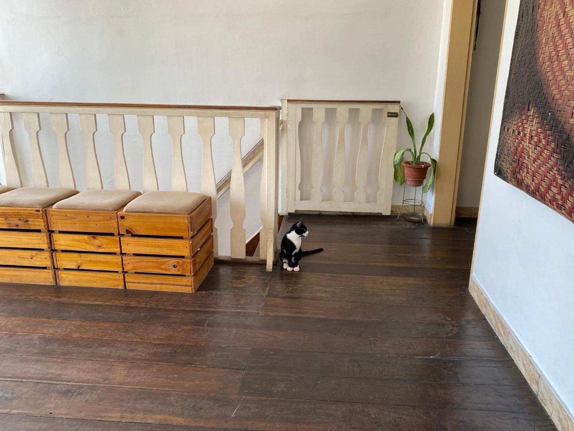 Aldeia Hostel มาเนาส์ ภายนอก รูปภาพ