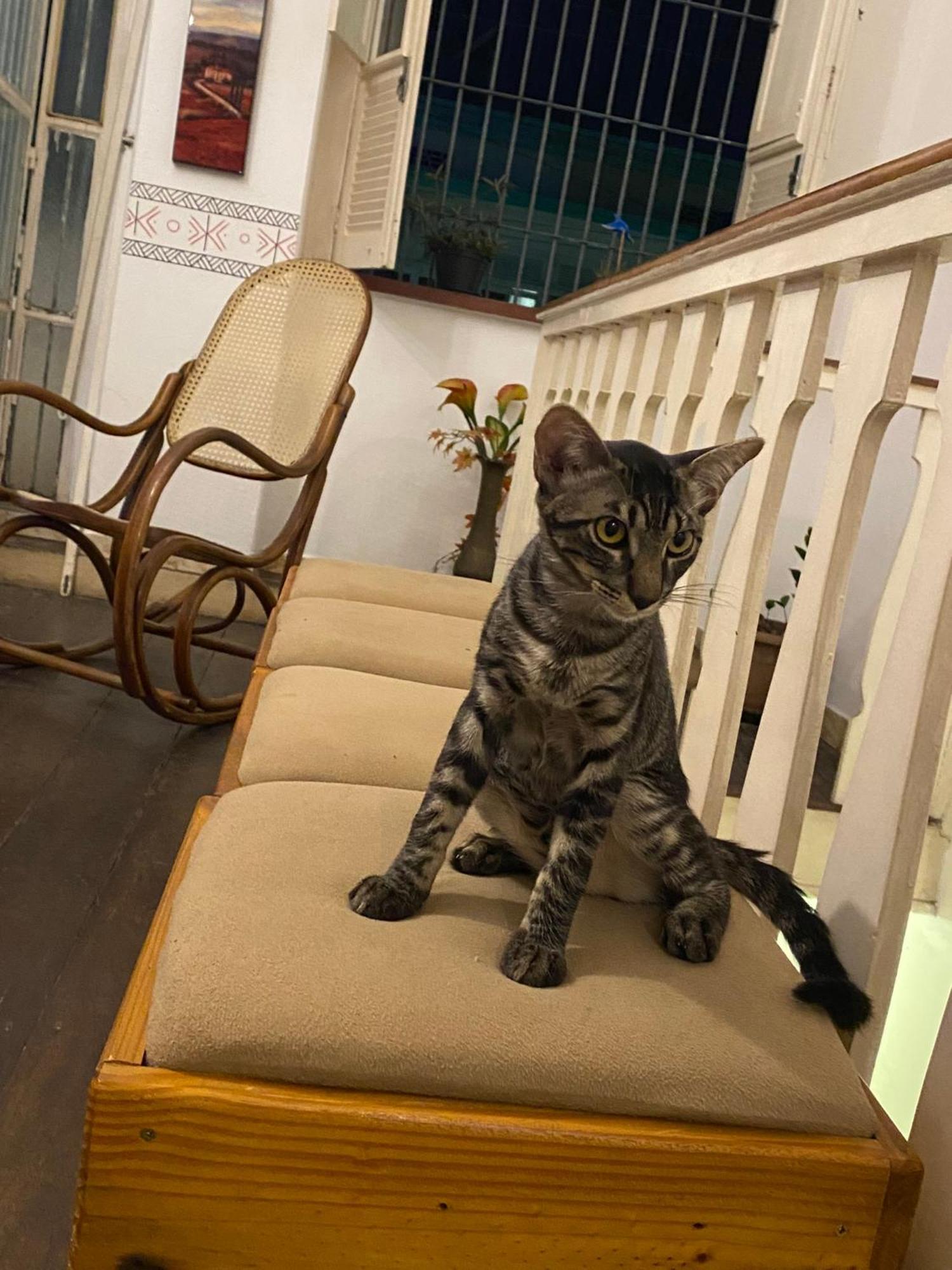 Aldeia Hostel มาเนาส์ ภายนอก รูปภาพ