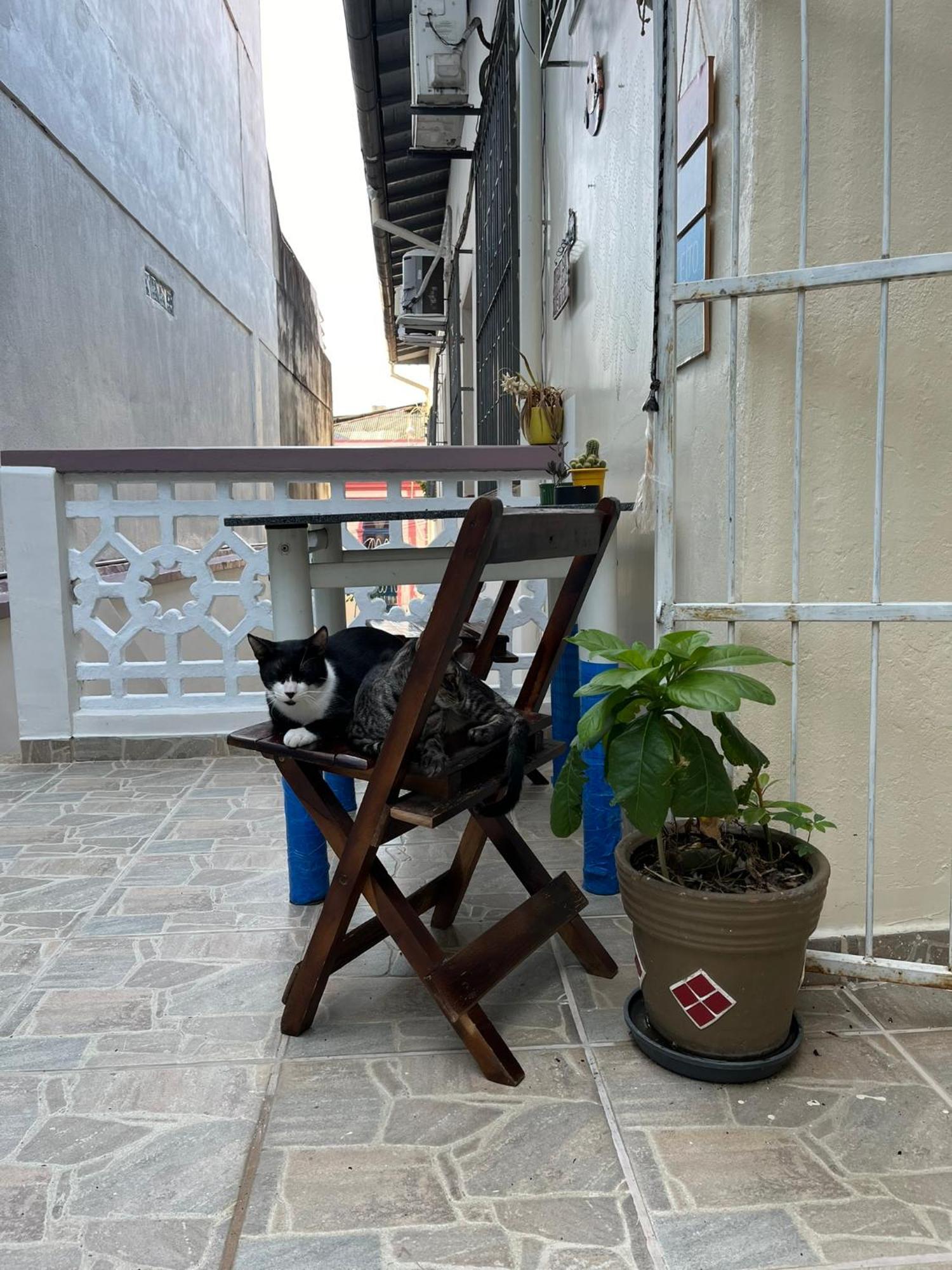 Aldeia Hostel มาเนาส์ ภายนอก รูปภาพ